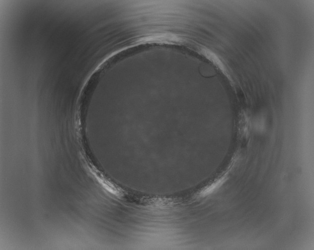X0000074000923200608211410