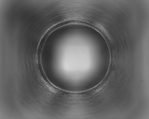 X0000074000924200608211410