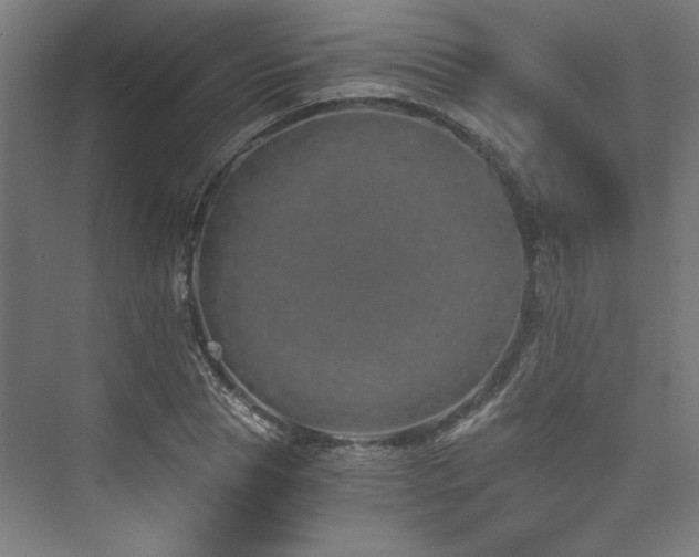 X0000074000929200608211410
