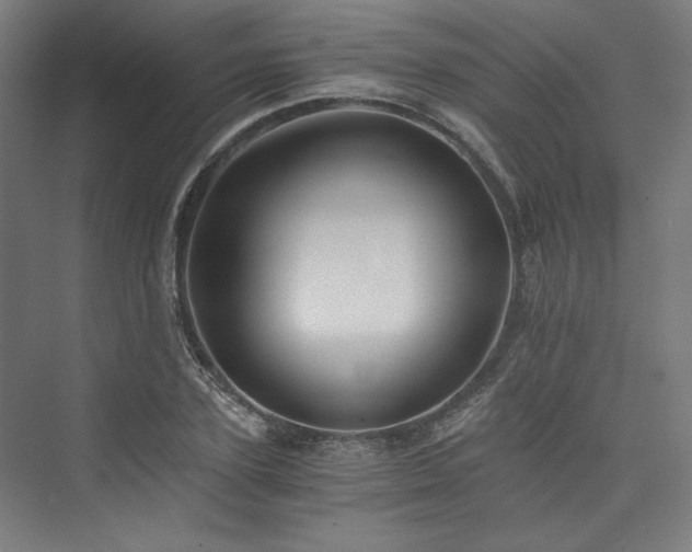 X0000074000931200608211410