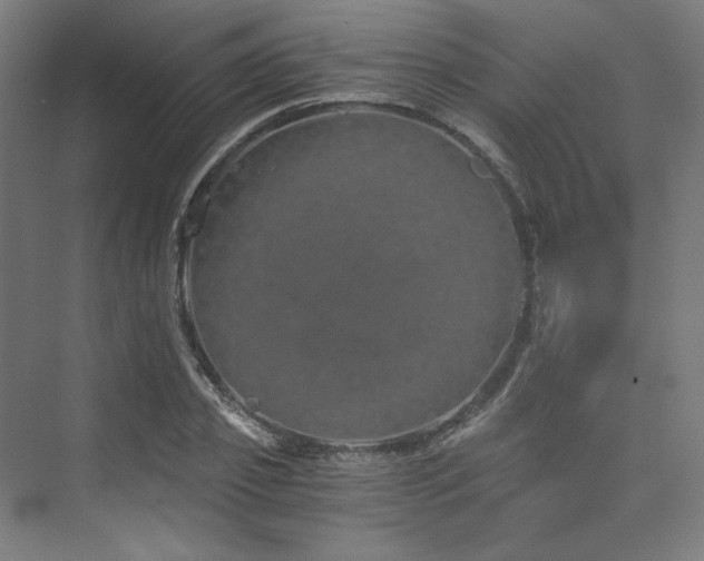 X0000074000933200608211410