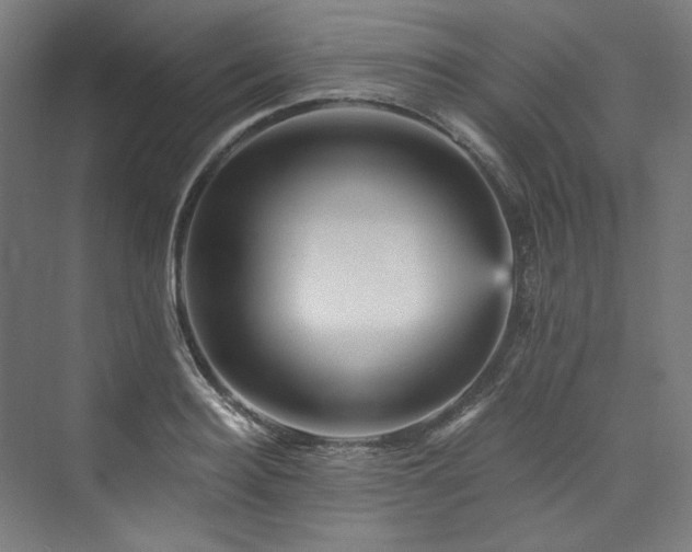 X0000074000940200608211410