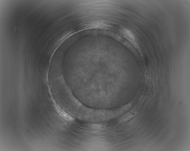 X0000074000946200608211410