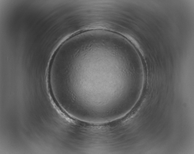 X0000074000949200608211410