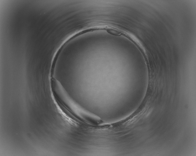 X0000074000951200608211410