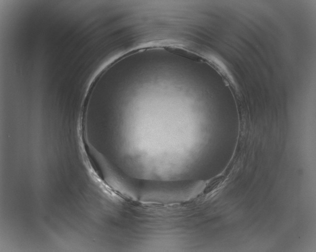 X0000074000952200608211410