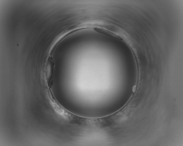 X0000074000960200608211410