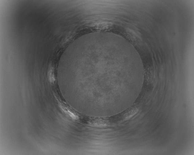 X0000074000962200608211410