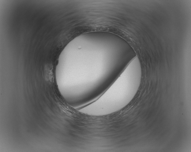 X0000074000963200608211410