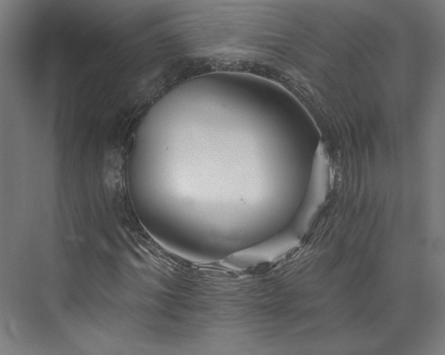 X0000074000964200608211410