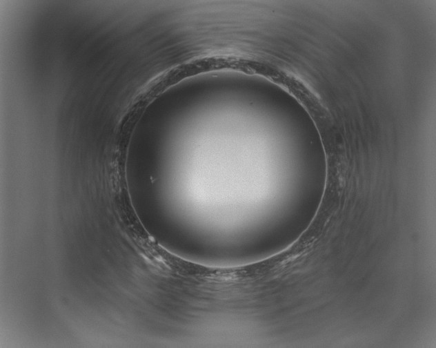 X0000074000968200608211409