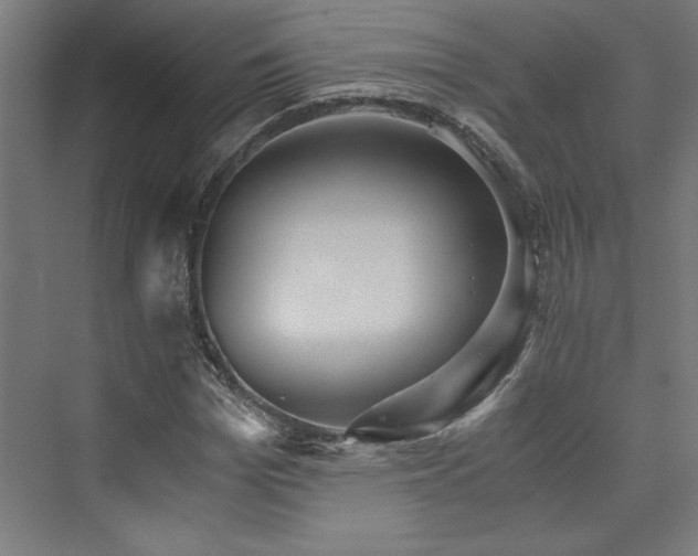 X0000074000969200608211409