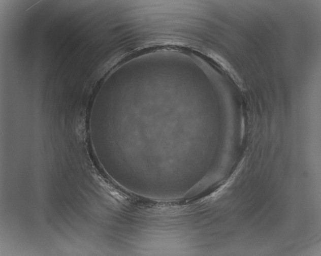 X0000074000977200608211409