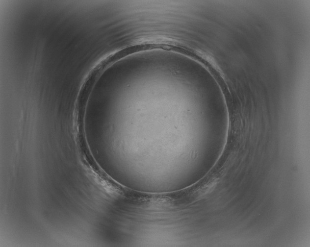 X0000074000979200608211409