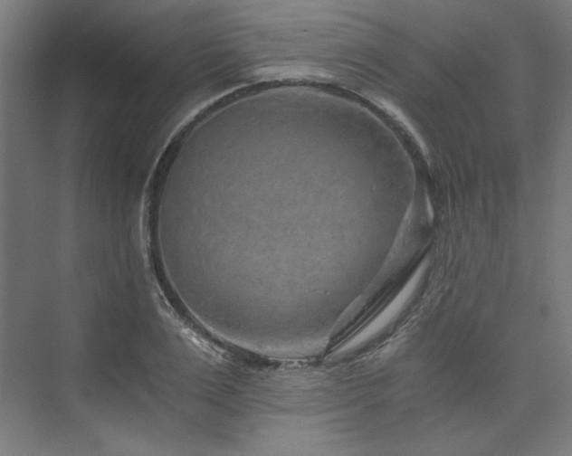 X0000074000983200608211409