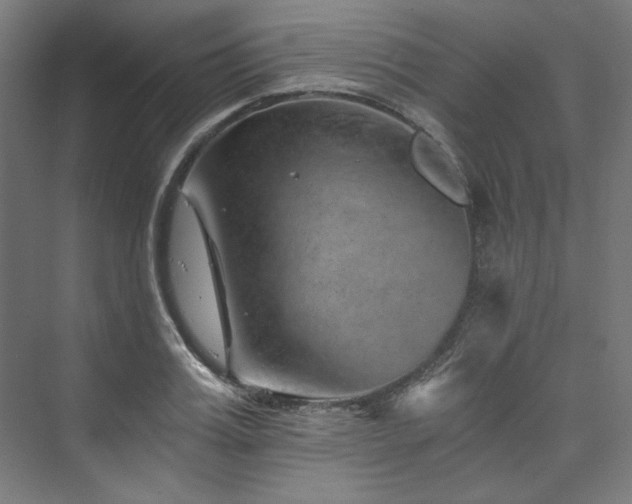 X0000074000987200608211409