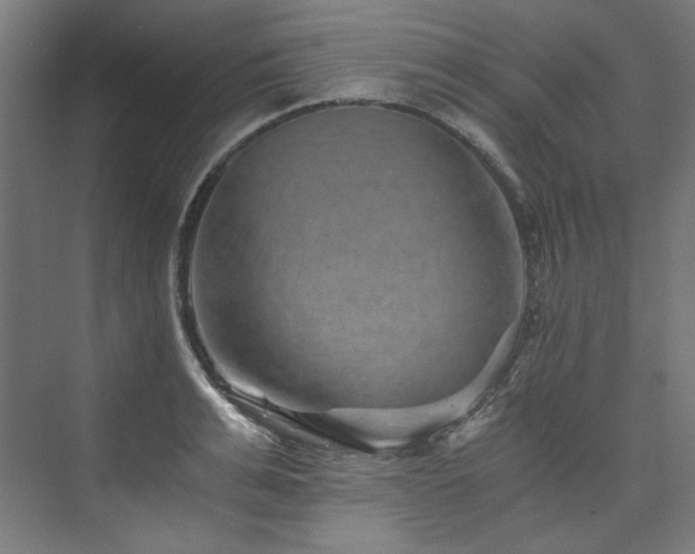 X0000074000991200608211409