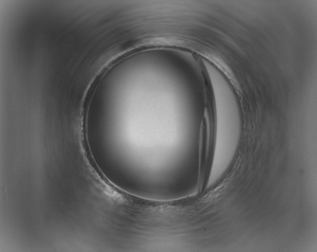 X0000074000992200608211409