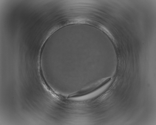 X0000074000994200608211409
