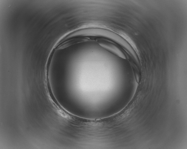 X0000074000996200608211409