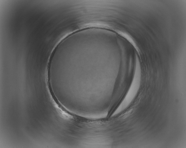 X0000074000999200608211409