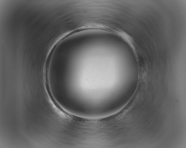 X0000074001003200608211409