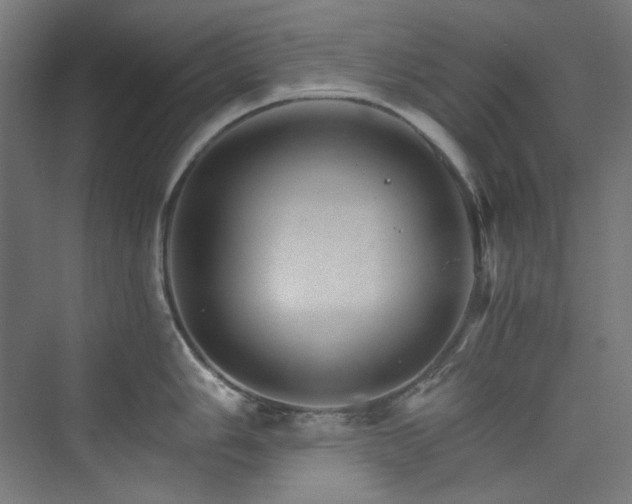 X0000074001006200608211409