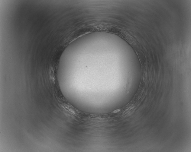 X0000074001010200608211408