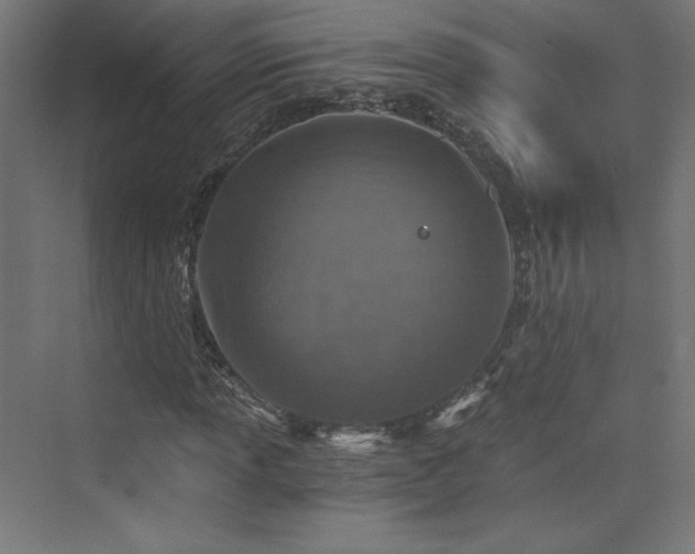 X0000074001013200608211408