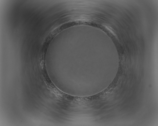 X0000074001015200608211408
