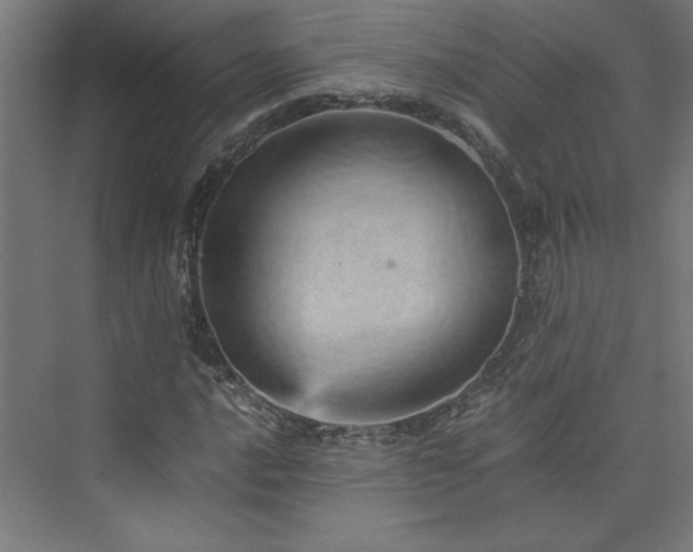 X0000074001016200608211408