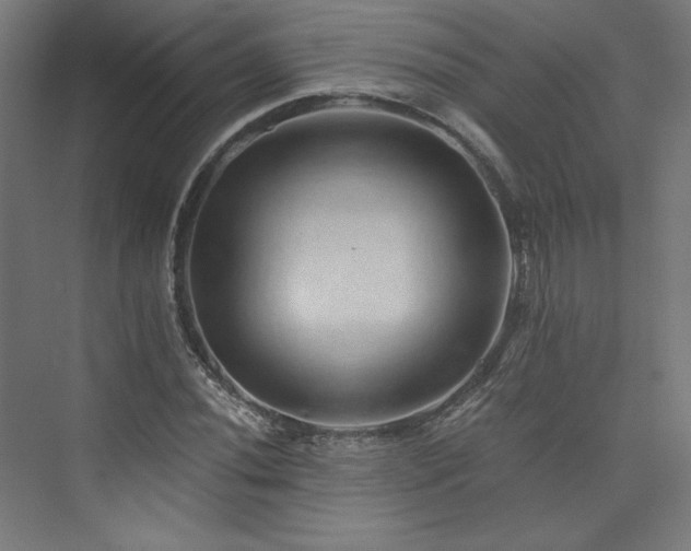 X0000074001020200608211408