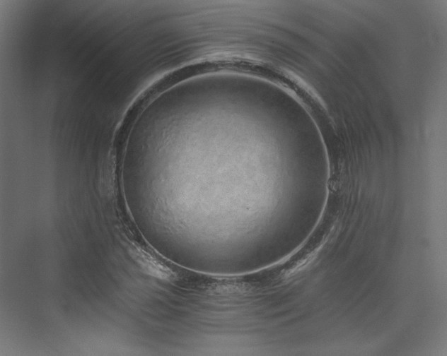X0000074001021200608211408