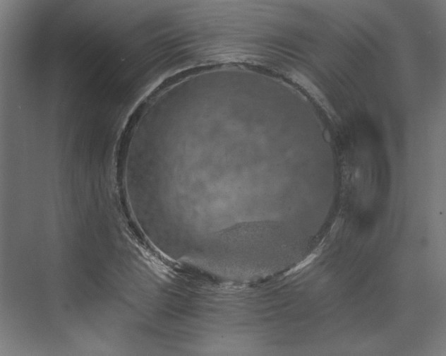 X0000074001023200608211408