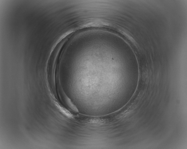 X0000074001026200608211408
