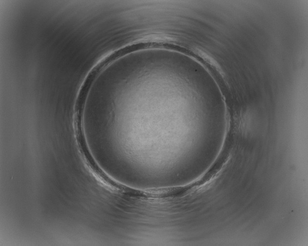 X0000074001029200608211408