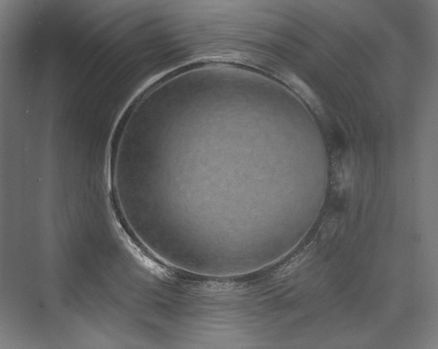 X0000074001036200608211408
