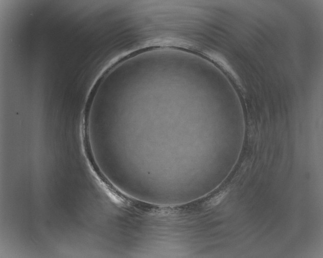 X0000074001040200608211408
