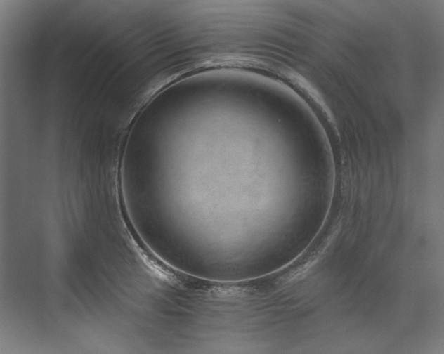 X0000074001041200608211409