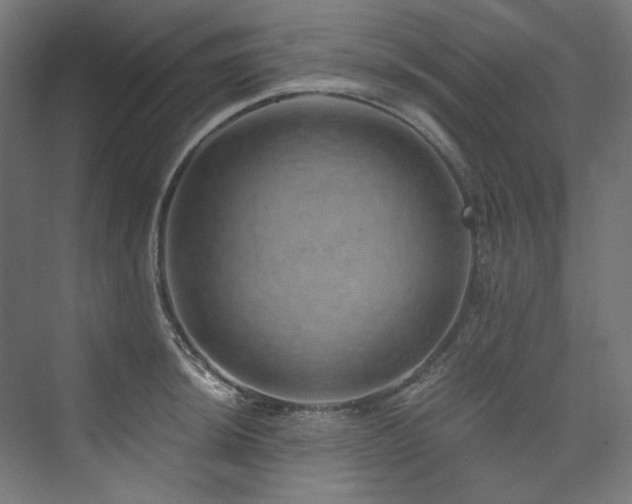 X0000074001044200608211409