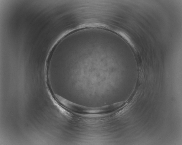 X0000074001046200608211409