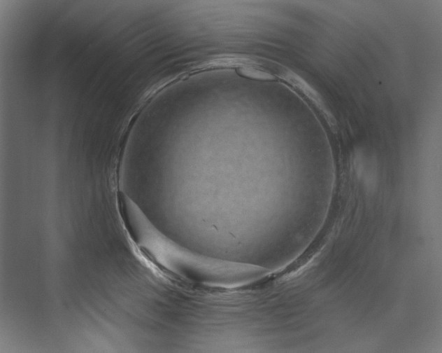 X0000074001049200608211409