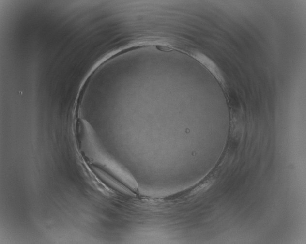 X0000074001052200608211409
