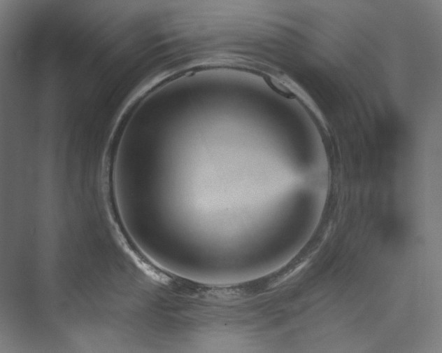 X0000074001053200608211409