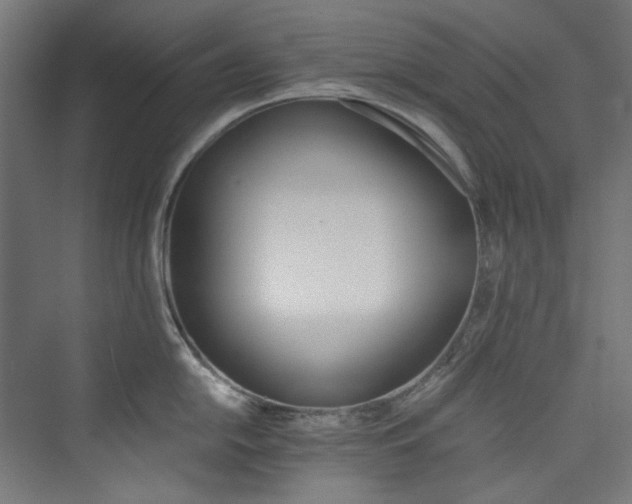 X0000074001054200608211409
