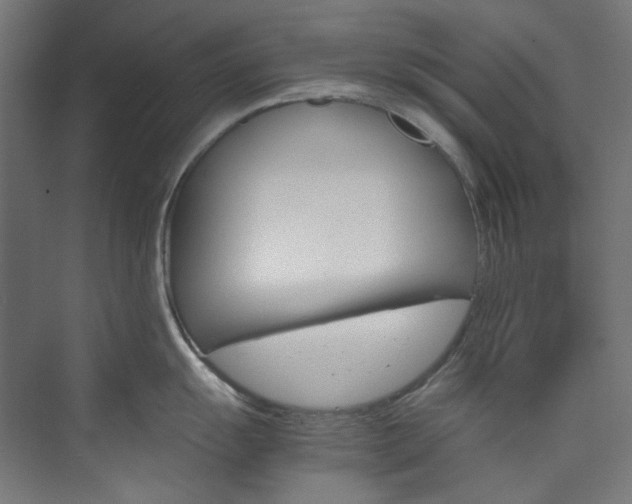 X0000074001055200608211409