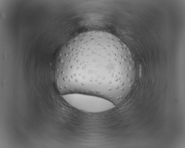 X0000074001059200608211408