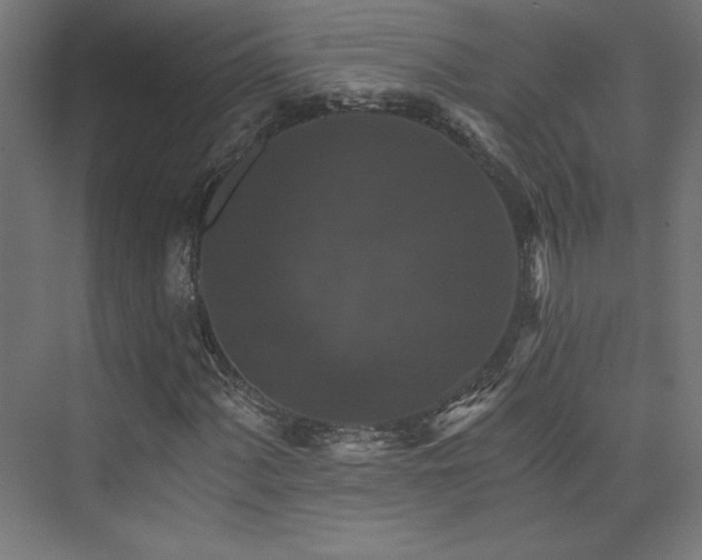X0000074001060200608211408