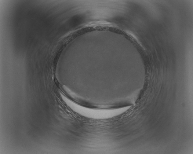 X0000074001063200608211408