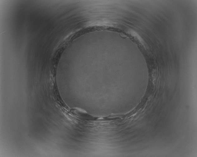 X0000074001064200608211408